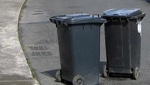 Containere de gunoi dintr-un comitat irlandez, descoperite întâmplător în România