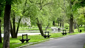 Copacii combat jumătate din încălzirea urbană a lumii, dar nu și în locurile care au cea mai mare nevoie de ea