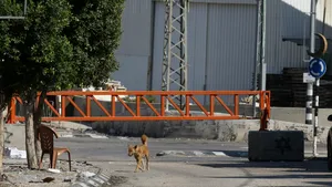 Mai multe țări au anunțat că vor interzice comerțul cu unele produse israeliene. Poziția României