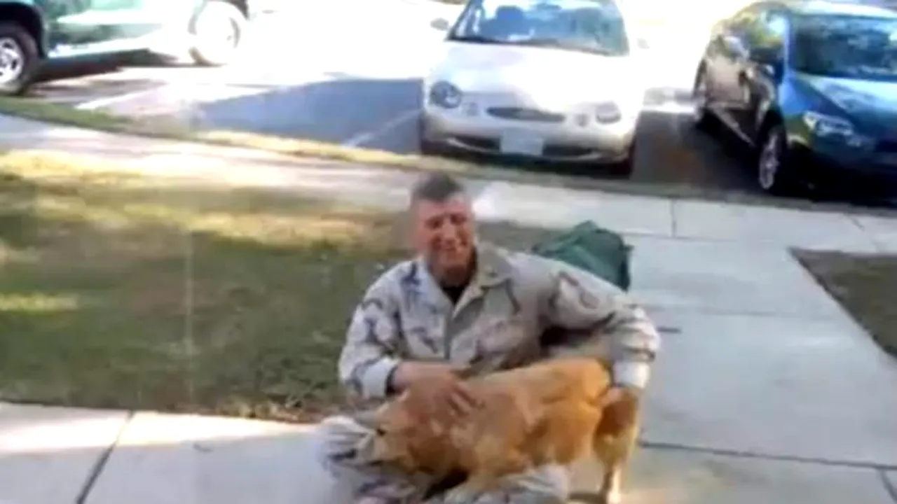 Clipul EMOŢIONANT care în 5 ani a adunat peste 15 milioane de vizualizări pe YouTube. Cum reacţionează un câine când stăpânul său se întoarce de pe front - VIDEO