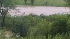 Un bărbat a murit după ce a căzut cu tractorul într-un pârâu învolburat în urma ploilor, în Tulcea. Fiul acestuia, salvat