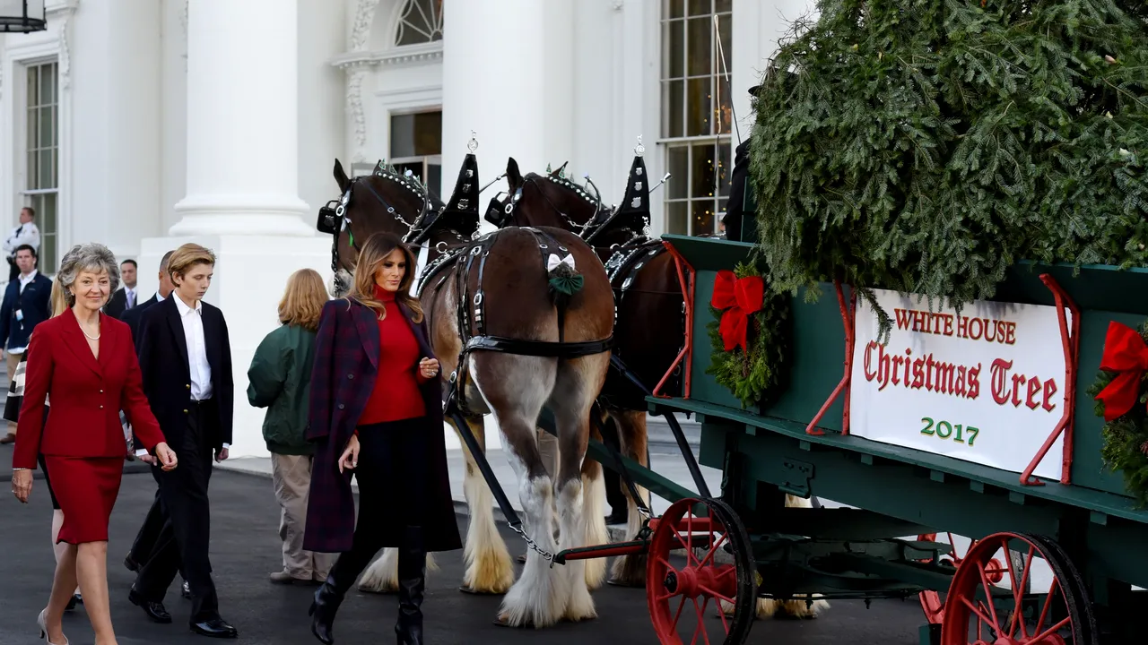 Prima Doamnă a SUA, Melania Trump, a primit pentru întâia oară, la Casa Albă, bradul de Crăciun | FOTO, VIDEO