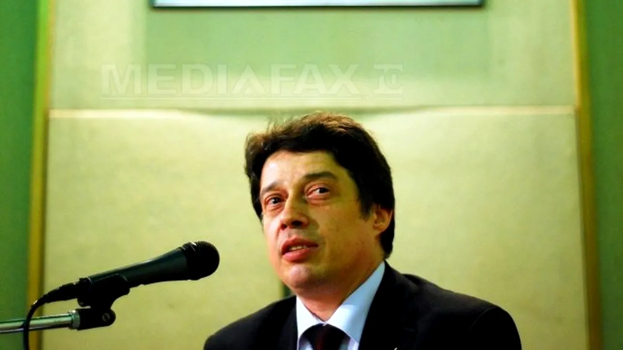 Virgil Niţulescu, numit director interimar al Muzeului Ţăranului Român