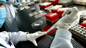 Virusul H5N1, transmisibil de la mamă la făt