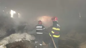 Incendiu puternic într-o hală pentru depozitarea furajelor, la o fermă de păsări din Vaslui