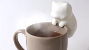 O companie japoneză a inventat un roboţel în formă de pisică care suflă ca să-ţi răcească mâncarea