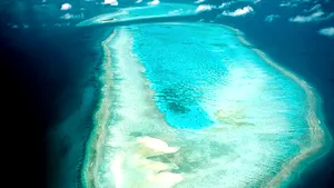 Marea barieră de corali dispare. Nu mai există nicio şansă de a se regenera