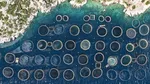 Criză ecologică în Grecia: deșeuri din ferme abandonate ajung în mare