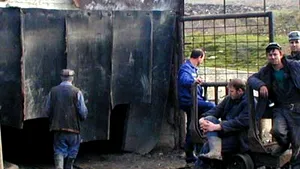 Minerii din Oltenia au reluat lucrul după o grevă de avertisment