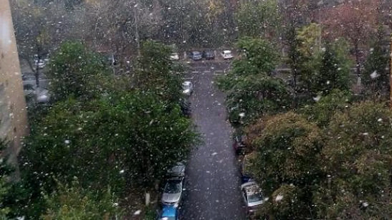 Prima ninsoare din acest sezon în Bucureşti - FOTO