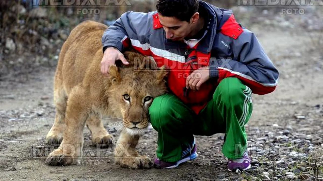 Animalele pe cale de dispariţie pot fi ajutate de oricine. Wildchain, jocul care permite adoptarea unui animal