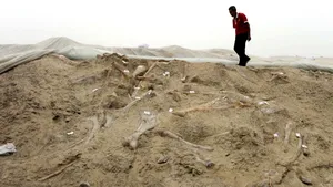 Mii de urme de picioare de dinozauri, descoperite în estul Chinei