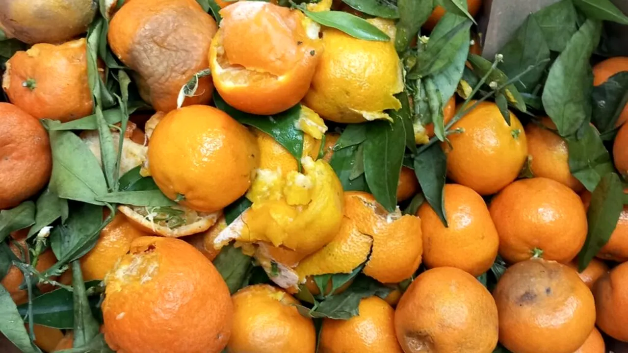 Controale ANPC: Produse alimentare expirate, mucegai și murdărie în magazine