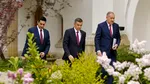 Stenograme ședința PSD. Grindeanu: „Bolojan a ieșit la racolat de parlamentari”. Lia Olguța Vasilescu: „Trebuie să arătăm că avem sânge în instalație”