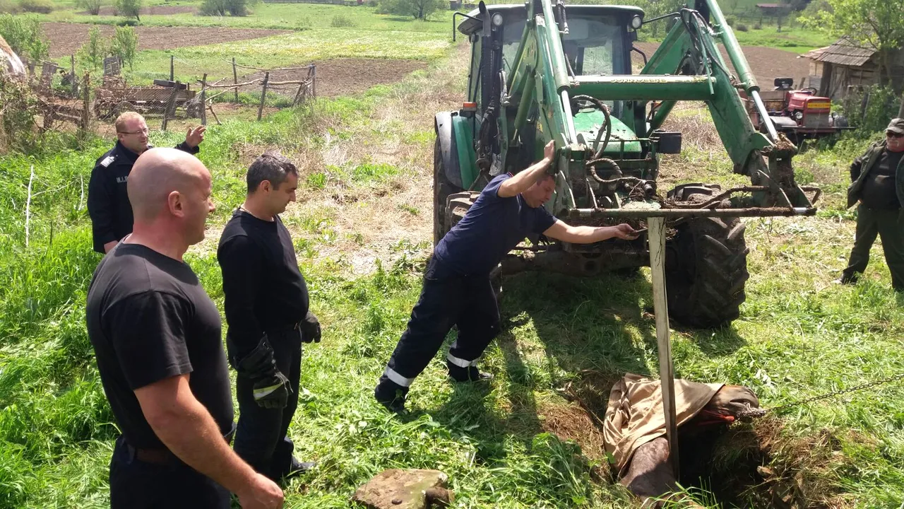 Cluj: Cal căzut într-o fântână de 2 metri, salvat de pompieri cu ajutorul unui buldoexcavator