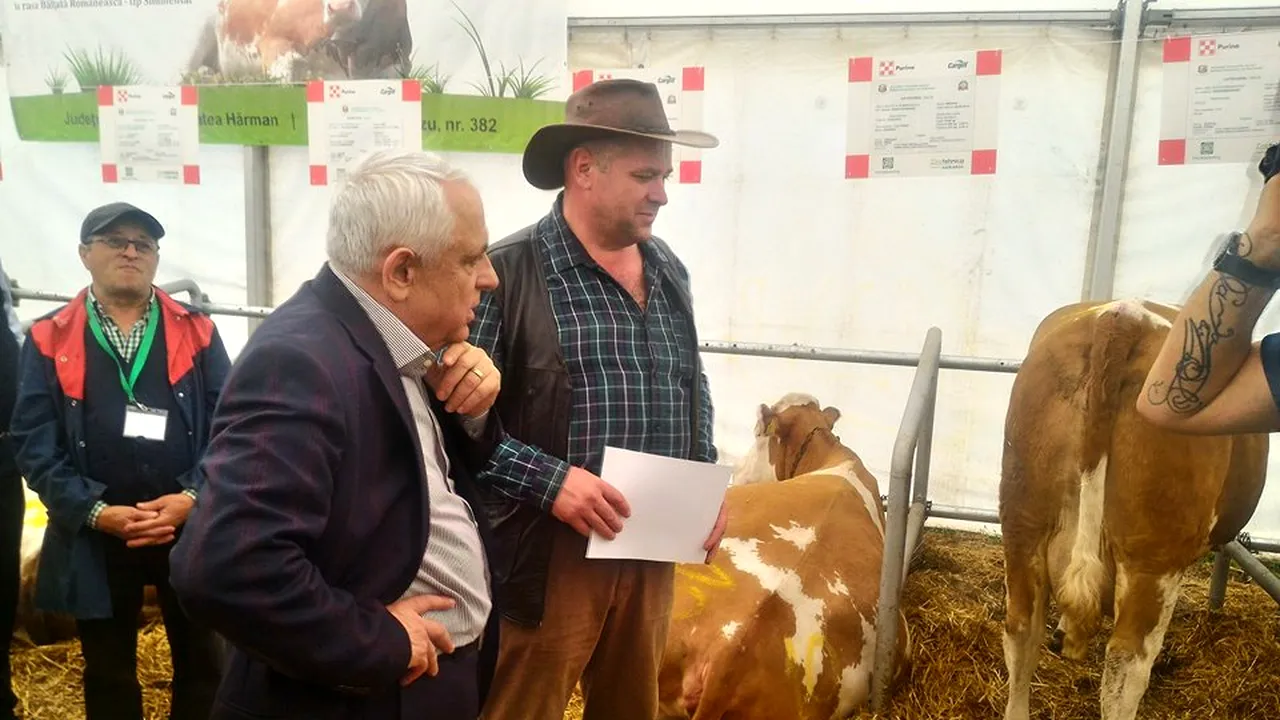 Ministrul Agriculturii: Producătorii de lapte să intre în cooperative, să vândă produsele după modelul cărnii de porc/ Ce spune Petre Daea despre „oaia la groapă” | FOTO 