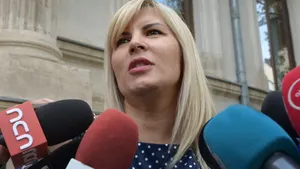 Elena Udrea moves closer to conditional release