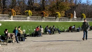 Cum să ai grijă de arbori reali printr-un software care a scanat toţi copacii din Capitală