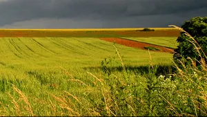 Gospodarii şi agricultorii care dau foc miriştilor riscă amenzi de 3.000 până la 50.000 de lei