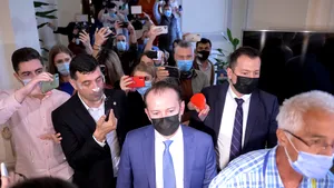 COMENTARIU Crenguta Nicolae: Asta ar fi trebuit să aflăm în parlament despre PNRR