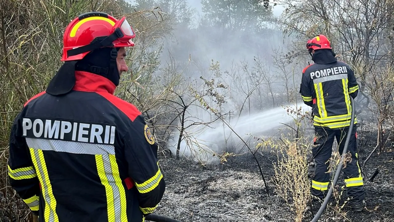 UPDATE / IGSU: Incendii de amploare în județele Giurgiu și Mehedinți, o fabrică este în pericol