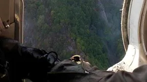 FOTO | Incendiu puternic de lizieră de pădure, într-o comună din judeţul Hunedoara 