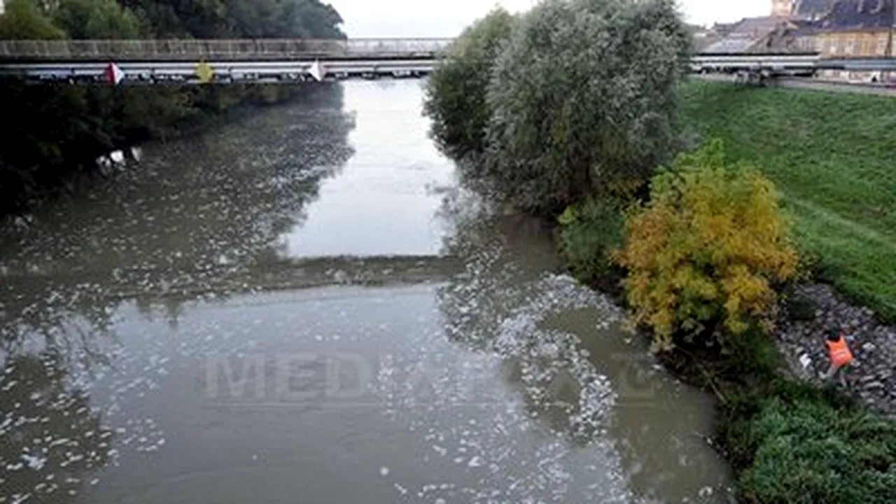 Hungary Toxic Mud Spill Reached Danube Thursday Afternoon - Romanian Water Administration