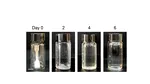 Am putea scăpa de microplastice? Plasticul viu, creat să se autodistrugă în doar șase zile