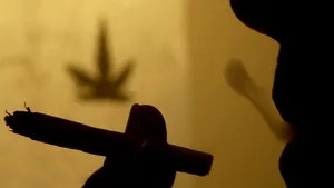 Unul din 25 de oameni au fumat canabis cel puţin o dată în viaţa lor