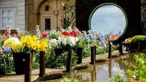 Ghiveci inteligent, inventat de un licean: Udă singur florile cu apa din umiditatea aerului | FOTO