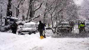Haos în București după ninsoare: 183 de copaci rupți, zeci de mașini avariate și un microbuz blocat în zăpadă. VIDEO