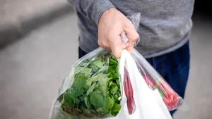 Franţa a declarat război pungilor din plastic. Măsură revoluţionară luată de guvernul de la Paris 