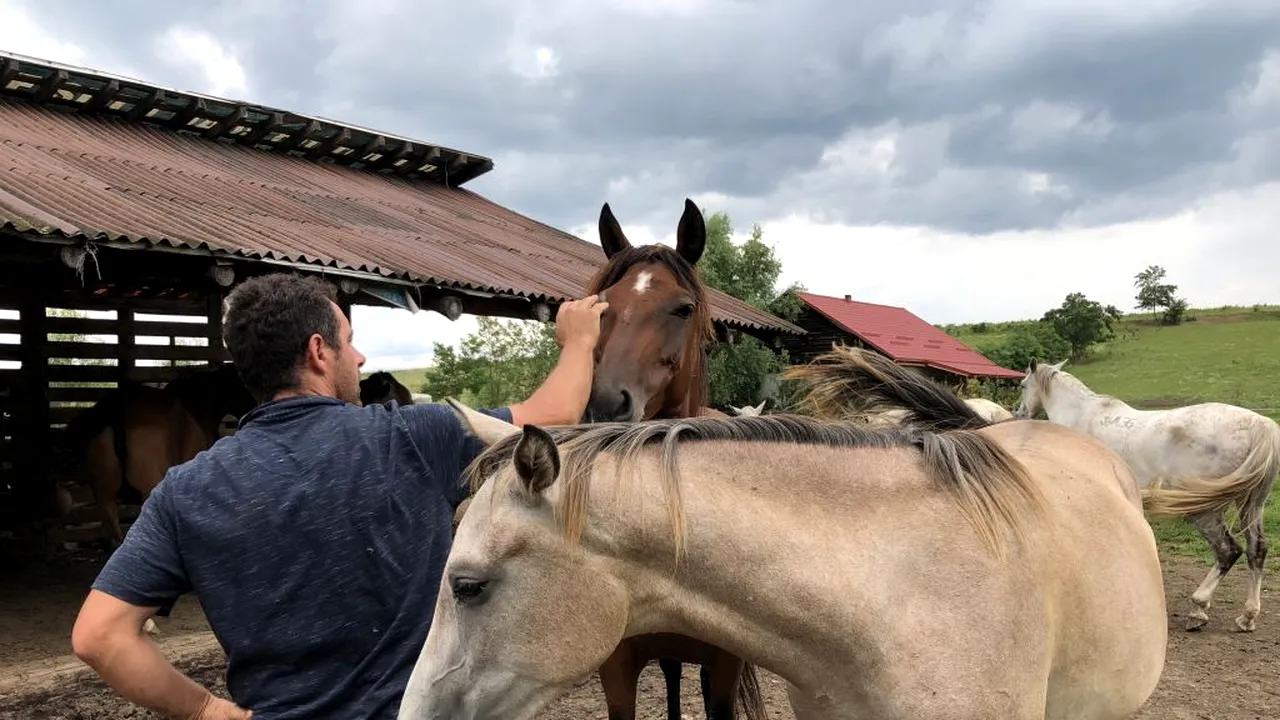 Refugiul Caii Lupilor, locul unde animalele fără nicio şansă devin campioane | GALERIE FOTO