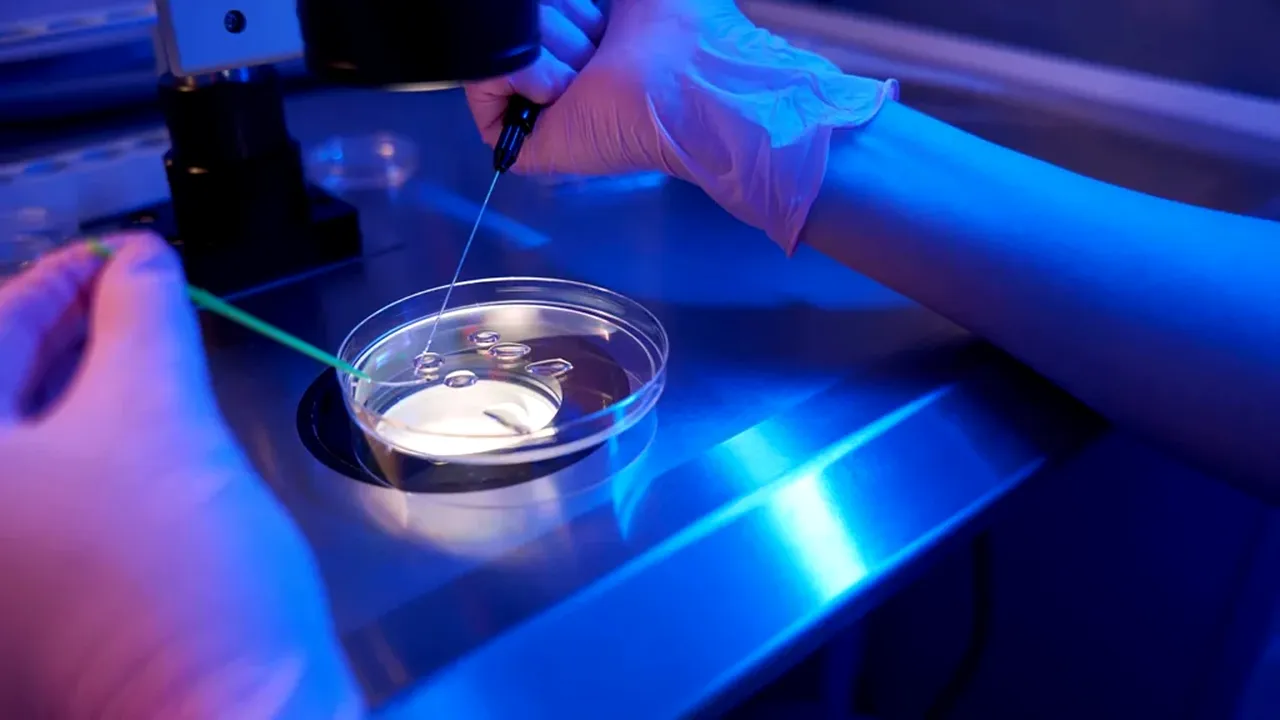 Descoperire în fertilizarea in vitro. Imagini de înaltă rezoluție cu embrioni umani oferă noi indicii despre eșecurile timpurii în FIV