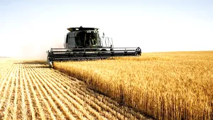 Până pe 25 octombrie trebuie plătit 50% din impozitul agricol pe 2017. Cum se calculează