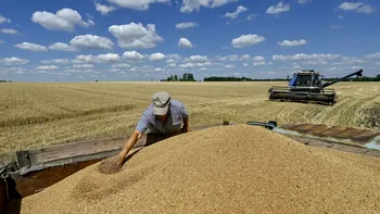 ECONOMIC Atacurile Rusiei împing din nou cerealele Ucrainei spre România. Noul val poate veni peste o recoltă foarte mare a fermierilor români