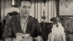 Povestea câinelui abandonat de stăpâni, care a ajuns star de cinema la Hollywood. Patrupetul a primit postum Palme Dog la Cannes 