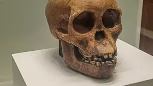 Antropologii dezvăluie că o specie umană și mai primitivă de australopitec a coexistat cu specia celebrei Lucy