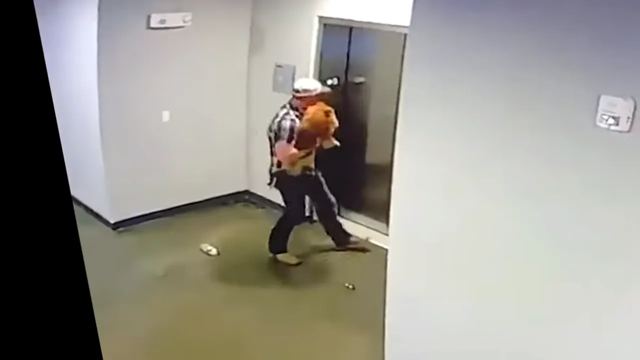 VIDEO | Momentul în care un câine este salvat după ce i s-a prins lesa de cabina liftului