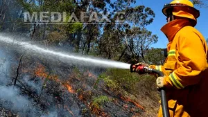 Un mort şi zeci de case distruse în vestul Australiei, în urma unui incendiu de vegetaţie