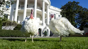 Biden a graţiat curcanii Peach şi Blossom la Casa Albă, de Ziua Recunoştinţei