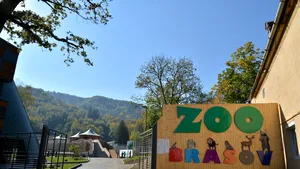 Premieră la Braşov. La Grădina Zoologică vizitatorii primesc lecţii despre animalele sălbatice