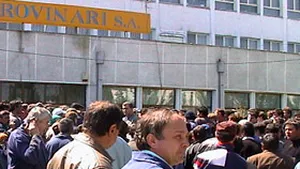 CEZ este interesată de complexurile Rovinari şi Turceni, dacă sunt privatizate în cel mult doi ani