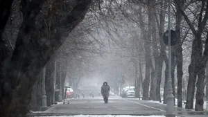 Ninsori şi temperaturi negative în Bucureşti în următoarele zile