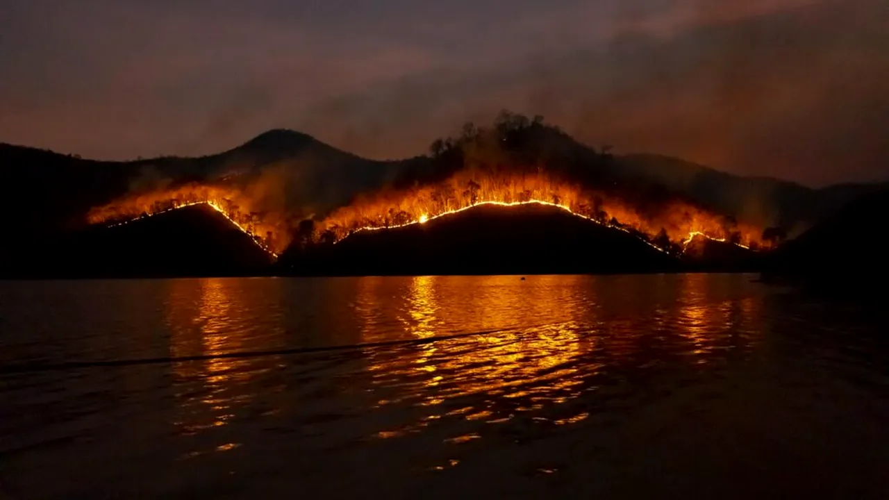 Un studiu leagă poluarea cu particule din fumul incendiilor forestiere de 24.100 de decese pe an