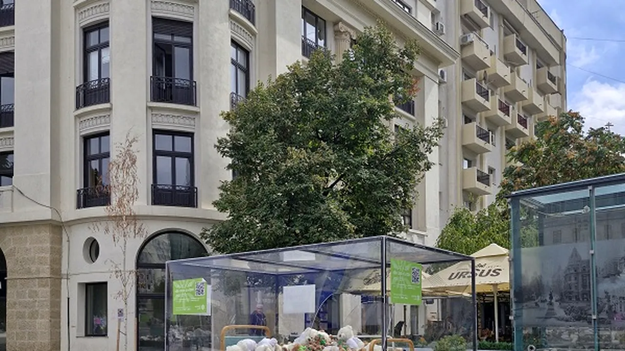 HOSPICE Casa Speranţei: Instalaţia patului de spital plin cu 550 de urşi de pluş
