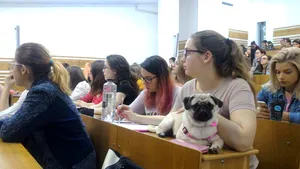 GALERIE FOTO Studenţii Facultăţii de Psihologie din Cluj-Napoca pot să îşi aducă pisicile şi câinii la cursuri 