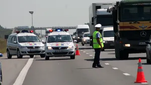 Incident bizar. Apel la 112 că un porc viu imobil se află pe o autostradă din România  - FOTO
