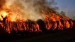 Nu doar plămânii sunt afectați. Ce efecte are fumul incendiilor forestiere asupra organismului