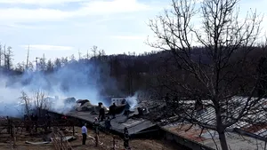 Peste 2.500 de pui au murit în urma unui incendiu izbucnit la o fermă din Vâlcea